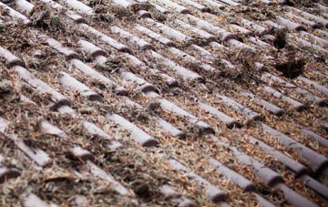 Nocton roof cleaning companies