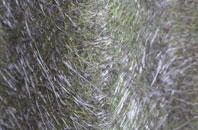 Nocton fibreglass roof work